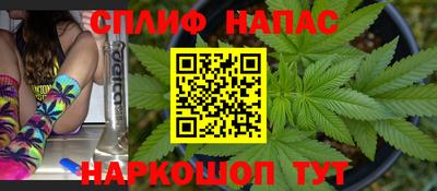 прущие грибы Рыбинск