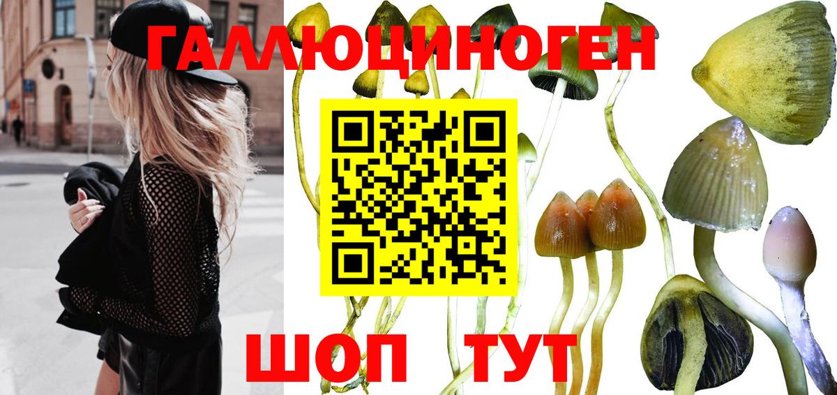 Галлюциногенные грибы MAGIC MUSHROOMS Прохладный